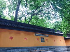 -灵谷景区