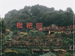 -枇杷园食为鲜火锅(南山店)