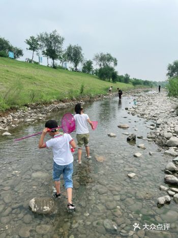 前几天去了大河边，也能玩儿水，但是今年雨水多