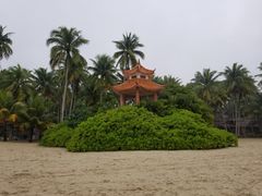 景点-东郊椰林