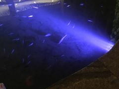 -宝丽金大酒店·洗浴中心