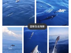 -海盗餐厅