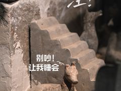 -齐文化博物馆
