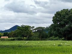 -良渚古城遗址公园