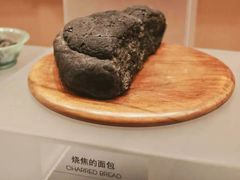 -盘龙城国家考古遗址公园