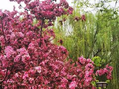 -元大都城垣遗址公园