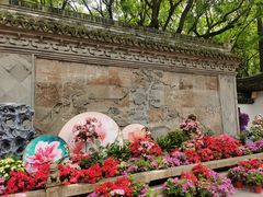 -上海醉白池公园