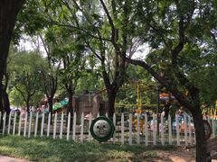 游乐设施-朝阳公园