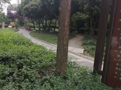 -神仙树公园