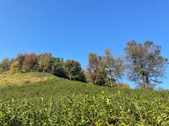-大余丫山旅游度假区