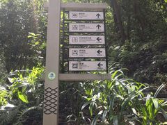 -广州市帽峰山景区