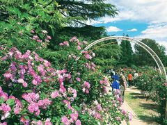 -国家植物园南园