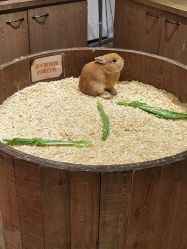 -Zoolung Zoolung动物主题公园(海信广场店)