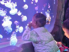 -石家庄极地海洋世界