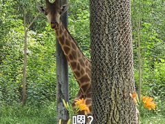 -北京野生动物园