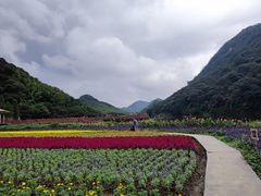 -广州市石门国家森林公园