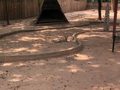 -深圳野生动物园
