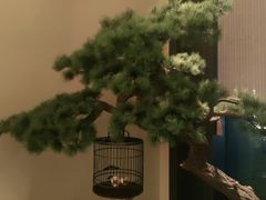 -潮上潮(南中环店)