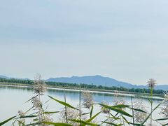 -野鸭湖国家湿地公园