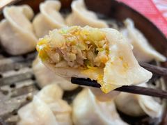 猪肉白菜蒸饺-新兴园饺子馆(北京百子湾店)