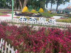 -洱海月湿地公园