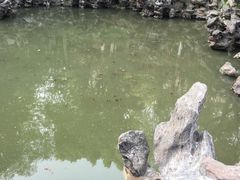 -伯先公园