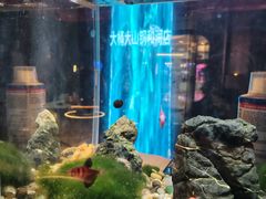 -大桶大足浴(山钢和润荟店)