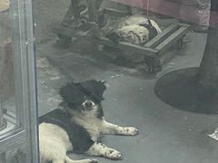 -竞速卡丁车赛车会(道滘店)