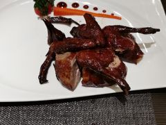 -新同乐鱼翅酒家(美丽华店)