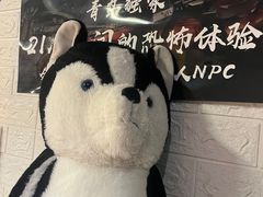 -好玩工厂密室·鹅鸭杀·桌游拼豆电玩