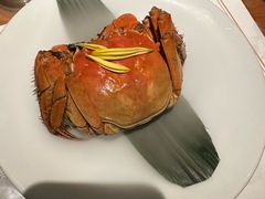 -觀芷隐轩