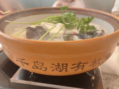 -宝荣鱼馆·临湖之宴(千岛湖店)