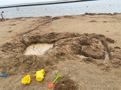 -碧海金沙