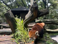 -云南野生动物园