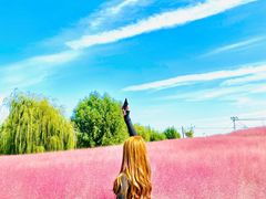 -羊亭河湿地公园