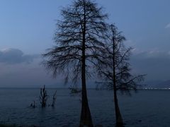 -黄兴南路步行商业街