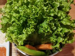 -百年食客韩式烤肉(南三环店)