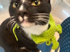 -平行世界·猫咖(首经贸店)