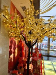 -中国黄金(北京旗舰店)