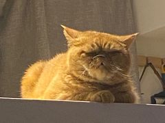 -Wagas沃歌斯(大学路店)