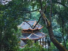-岳麓山风景名胜区