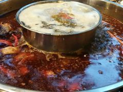 -蜀滋香鲜鱼美蛙火锅(339店)