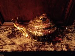 -金蜗牛