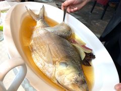 -望乡楼上海菜(日月光店)