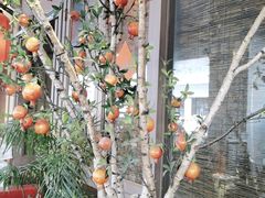 -农耕记·湖南土菜(halo广场店)