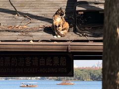 -杭州西湖风景名胜区-章太炎纪念馆