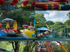 -上海共青森林公园