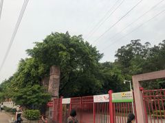 -榴花公园