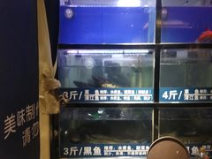 水产区-爱妻鱼•老体北重庆水煮鱼•川菜(白云路店)