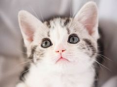 -降龙爪爪(建设路2店)